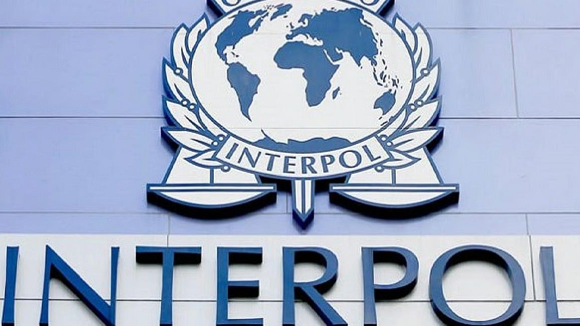 Punjab News: Interpol Issues Blue Corner Notice Against Canada-Based Drug Smuggler Satpreet Singh Thiara