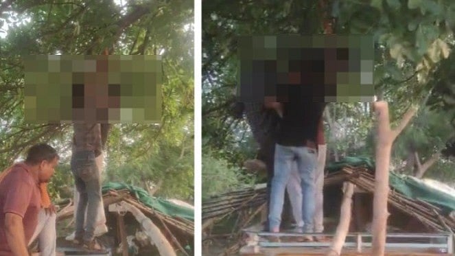 Tea Seller Tries To Hang Himself After Stall Demolished In Encroachment Drive In MP's Sheopur; Video Shows Locals Pulling Him Down From Tree