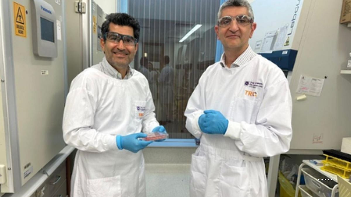 In a first, a team of Australian scientists has grown the world's first fully functioning lab-made human skin with its own blood supply. | X @ians_india