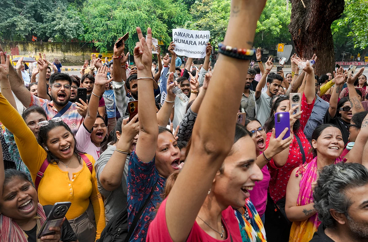 Dog lovers at Jantar Mantar celebrate SC order on stray dogs
