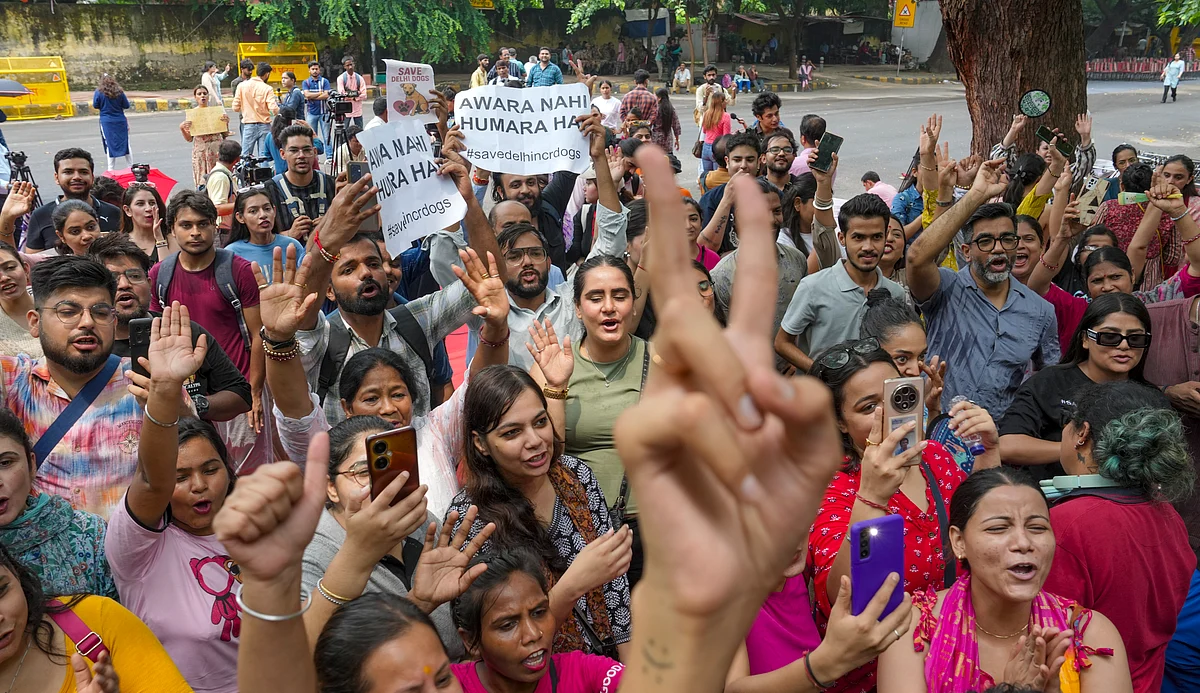 Dog lovers at Jantar Mantar celebrate SC order on stray dogs