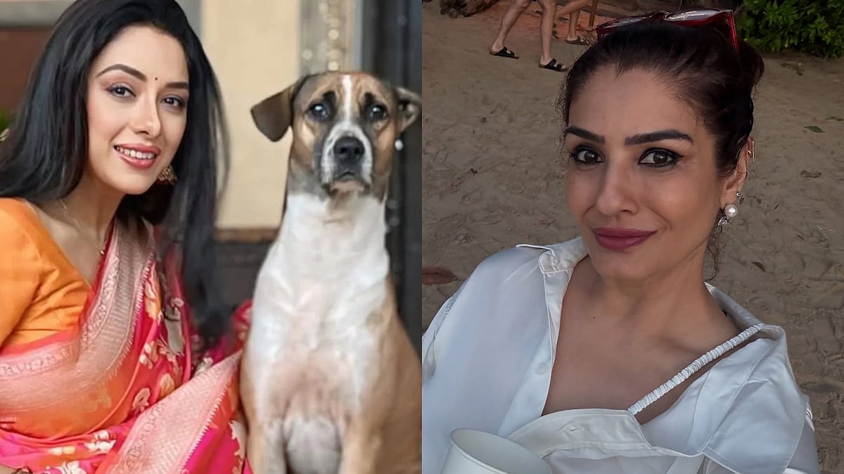 'Big Win For Compassion': Rupali Ganguly, Raveena Tandon Welcome SC's Modified Stray Dog Verdict