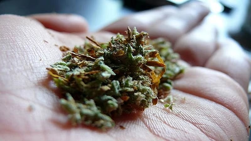 article-image