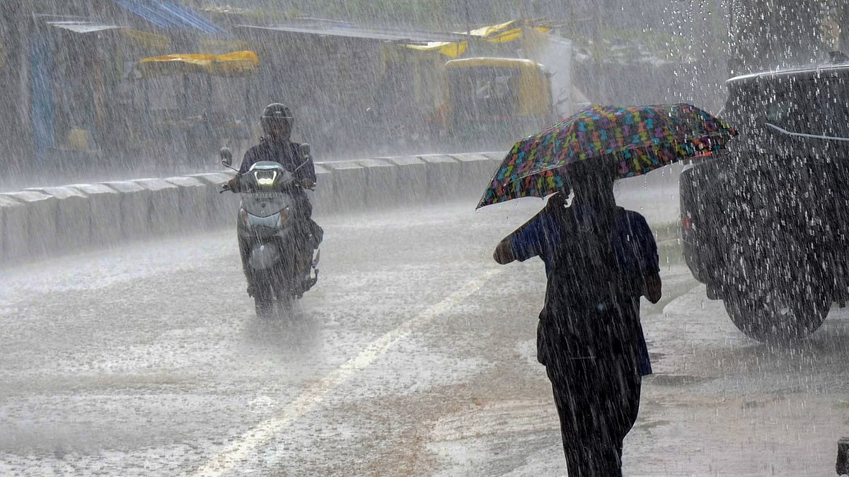 Madhya Pradesh August 24 2025, Weather Update: Rainy Spell Continues In State, Heavy Rain To Hit Multiple Districts On August 25