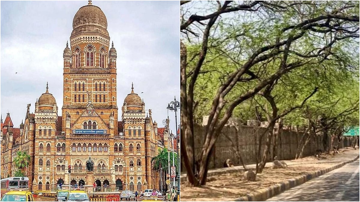 Mumbai Residents Suggest Tree Plantation Sites After BMC Claims Lack Of Space | File Photo