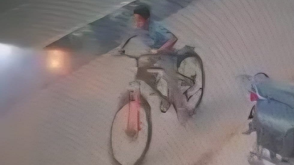UP: Class VII Student Cycles 400km To Meet Premanand Maharaj In Vrindavan After Mother's Scolding
