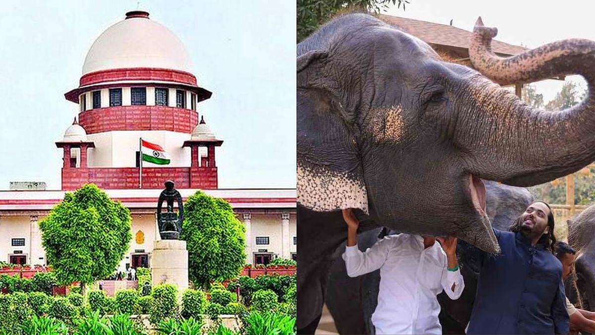 Supreme Court-Appointed SIT Gives Clean Chit To Vantara Rescue Centre In Jamnagar, Gujarat