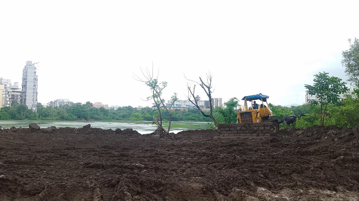Maharashtra Environment Dept Confirms Lotus Lake In Nerul As Wetland, Contradicting CIDCO