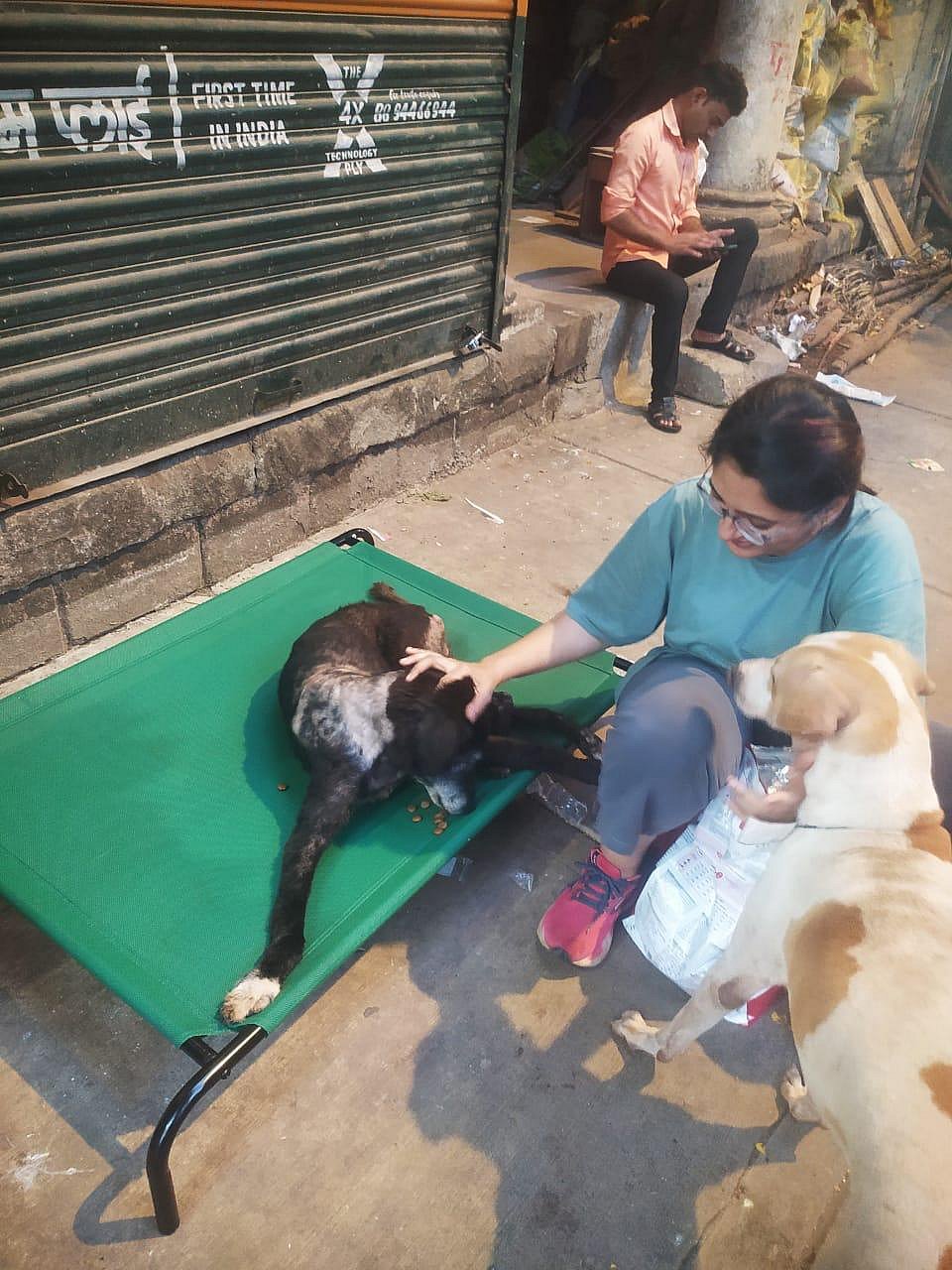 4. Sonal Ramnathkar with Shaggy, an aged indie who needed a more comfortable bed