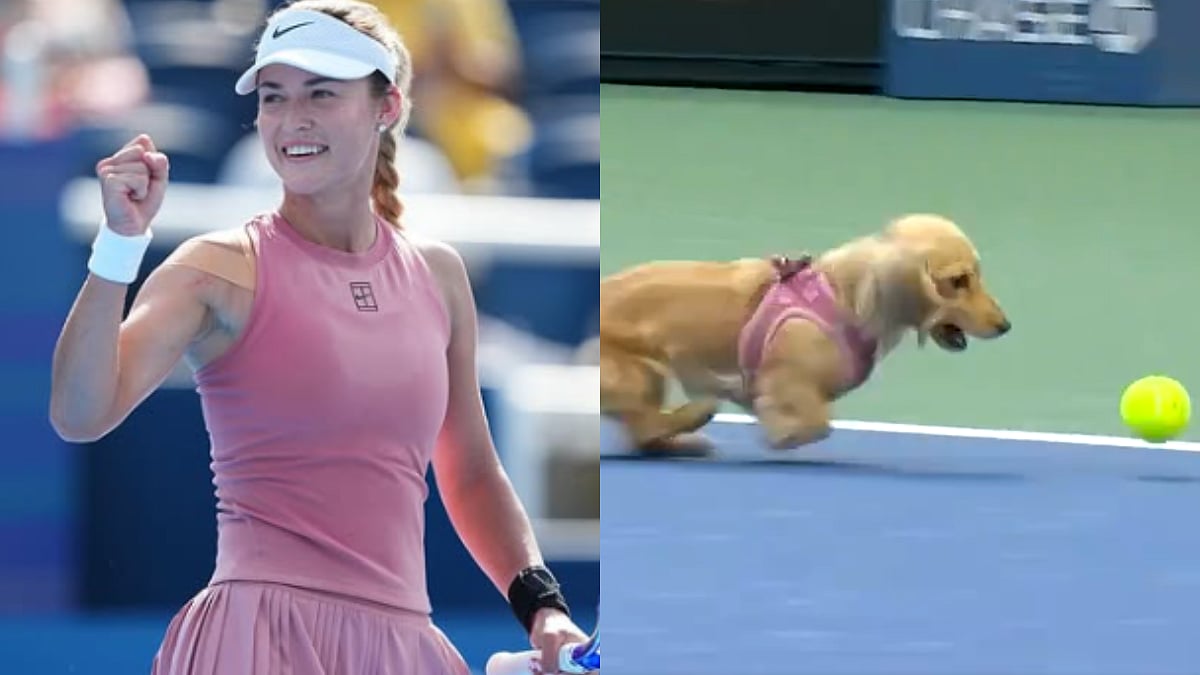 Image: Anna Kalinskaya/cjzero/Instagram/x