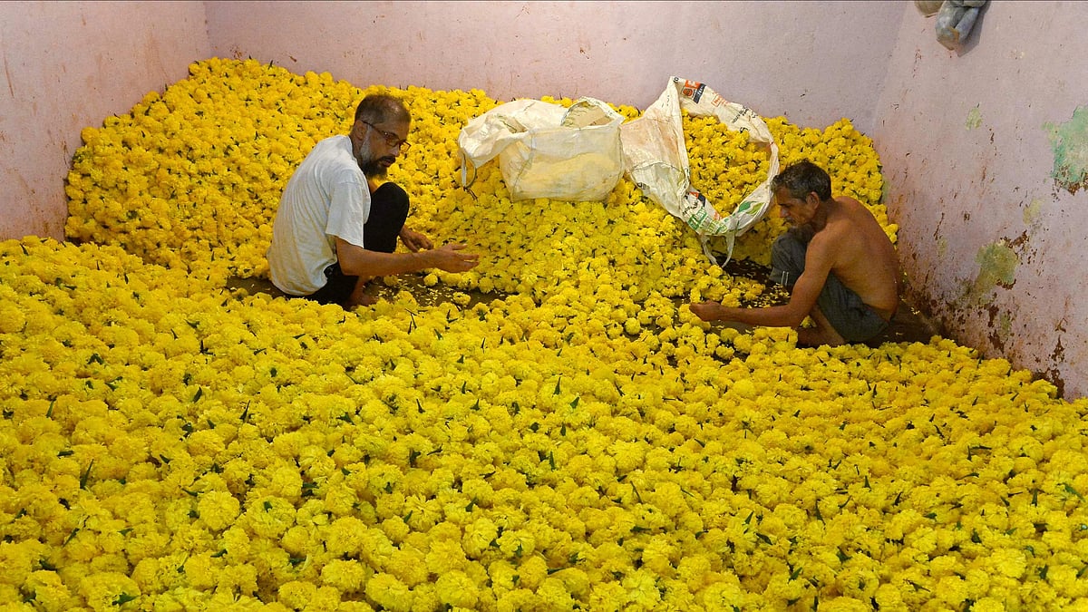 Navi Mumbai News: NMMC Turns Ganeshotsav Floral Waste Into Organic Fertiliser