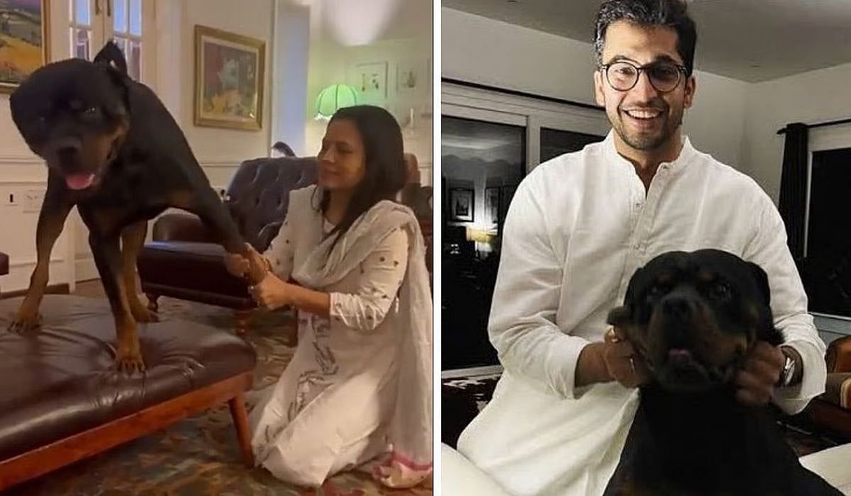 TMC MP Mahua Moitra and advocate Jai Anant Dehadrai with pet Henry | X