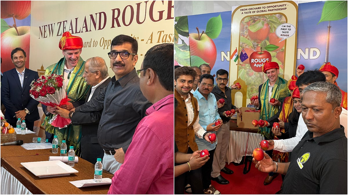 Premium New Zealand Rouge Apple unveiled at APMC Vashi, marking its debut in the Indian market