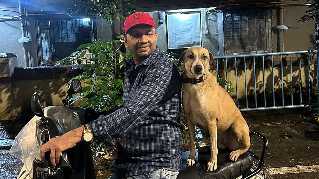 Six-Hour Search Operation Helps Locate Mumbai’s Beloved Mall Dog, Abducted 3 Months Ago