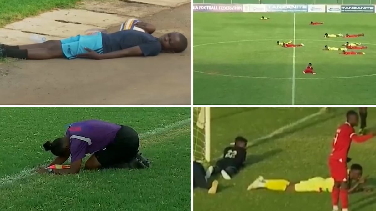 Bizarre! Bees Attack Players, Officials During Football Match In Tanzania; Video