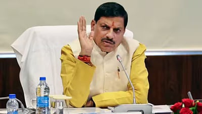 article-image