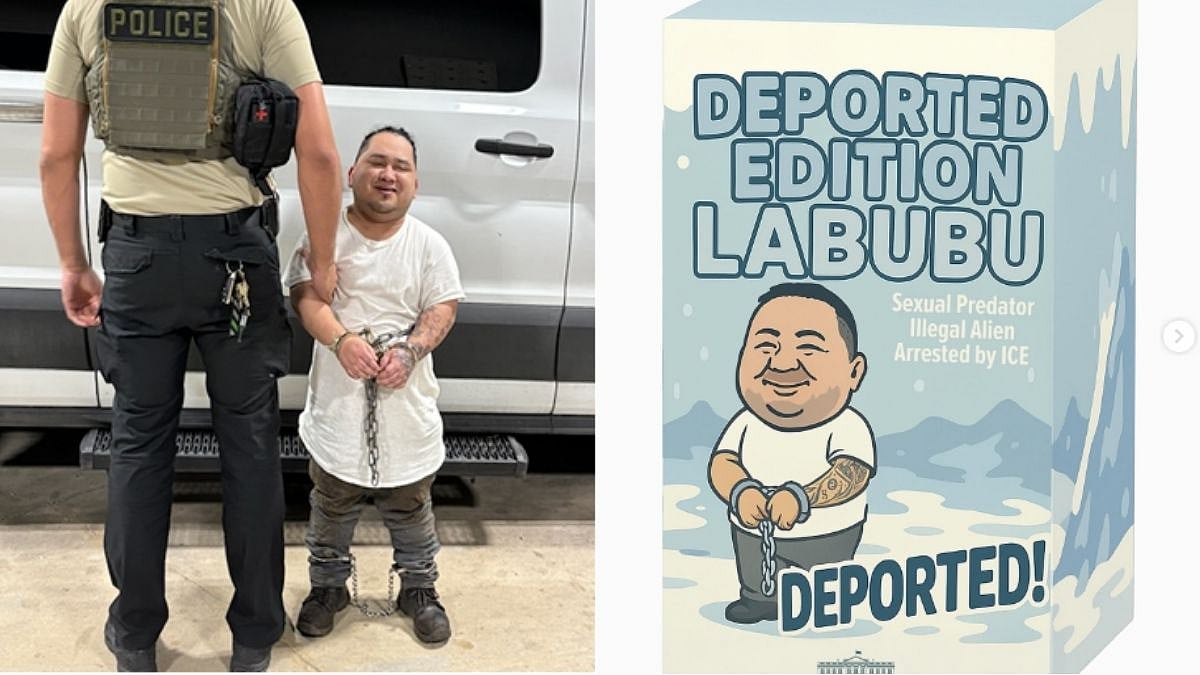 'Deported Labubu Edition,' US White House Comments On Arrest Of Guatemalan 'Sexual Predator'; Netizens Criticise For Being 'Immature'