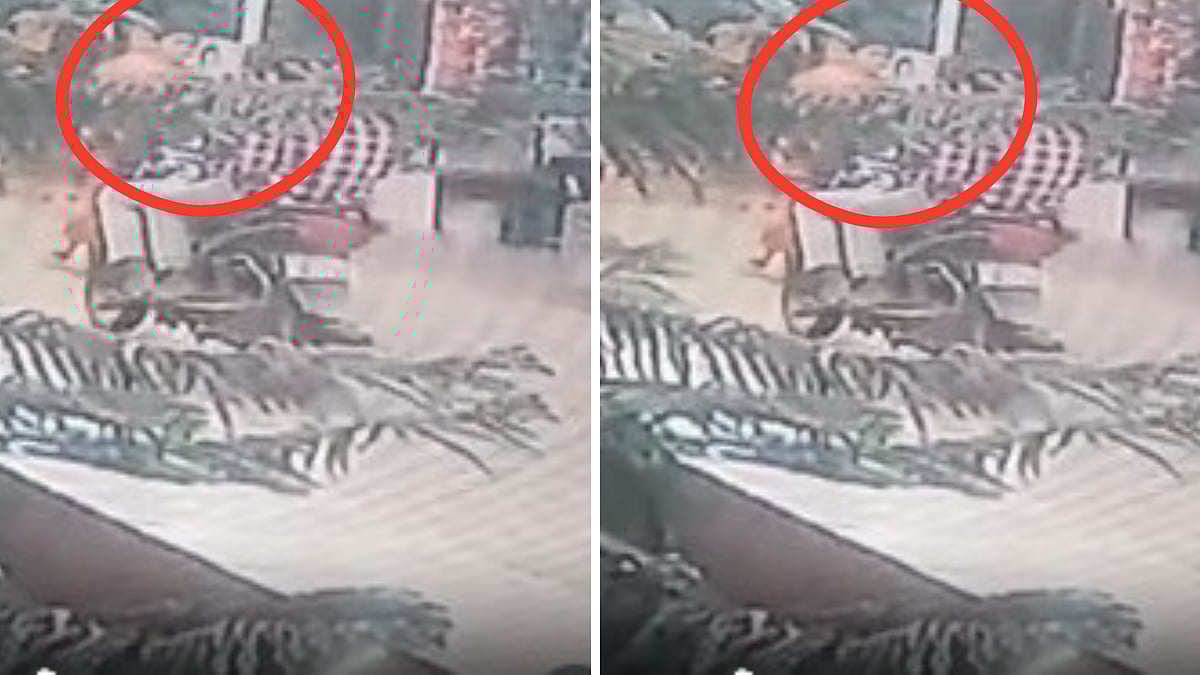 VIDEO: Two Bikers Caught Snatching Gold Mangalsutra From Woman In Broad Daylight In MP’s Jabalpur