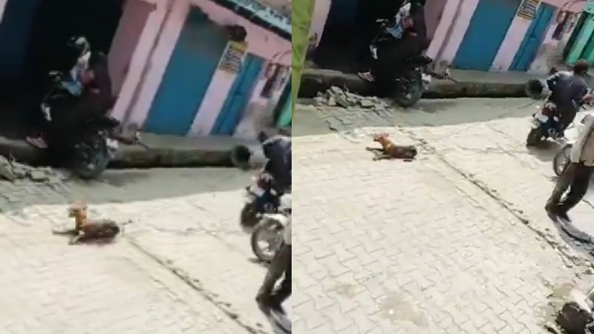Video: Two Men Drag Dog Behind Bike In UP's Aligarh, Complaint Filed