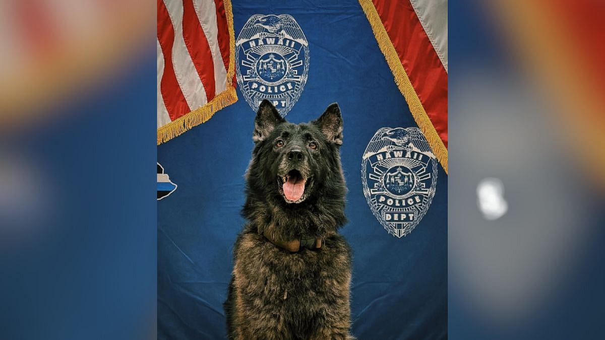 'Officer Should Be Fired,' Netizens Slam As Police Dog Dies After Being Left In Hot Cop Car For 'Unacceptable' Period By Handler