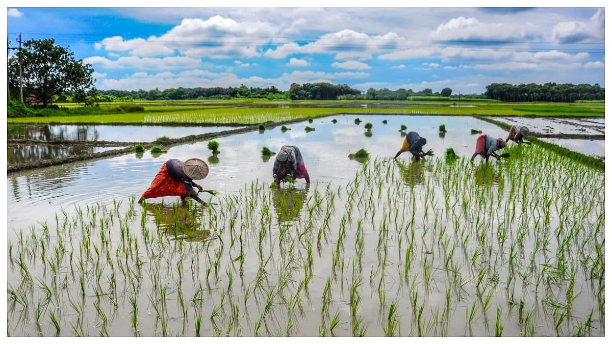 Ministry of Agriculture & Farmer Welfare Send AI-Based Monsoon Forecasts Via SMS To 3.8 Crore...