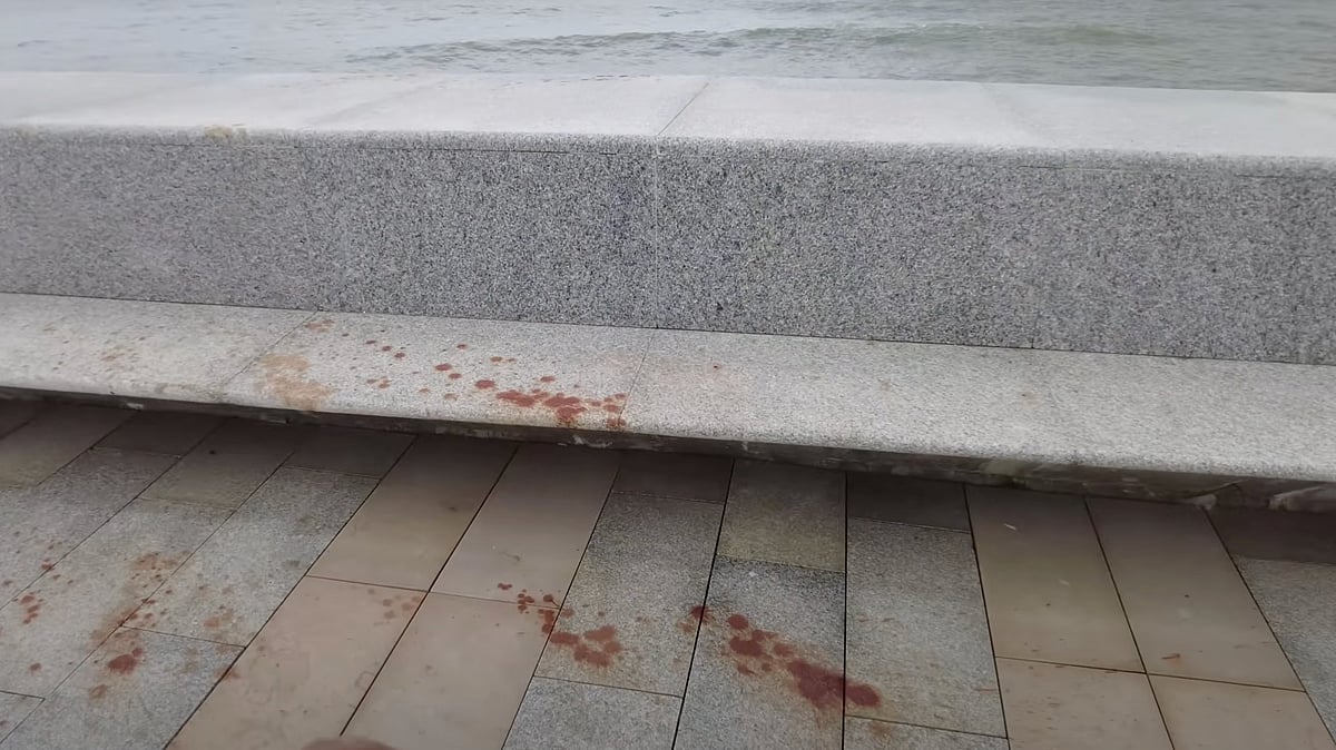 Mumbai Coastal Road Already Dirty: People Spit & Litter Just A Month After Opening | PICS