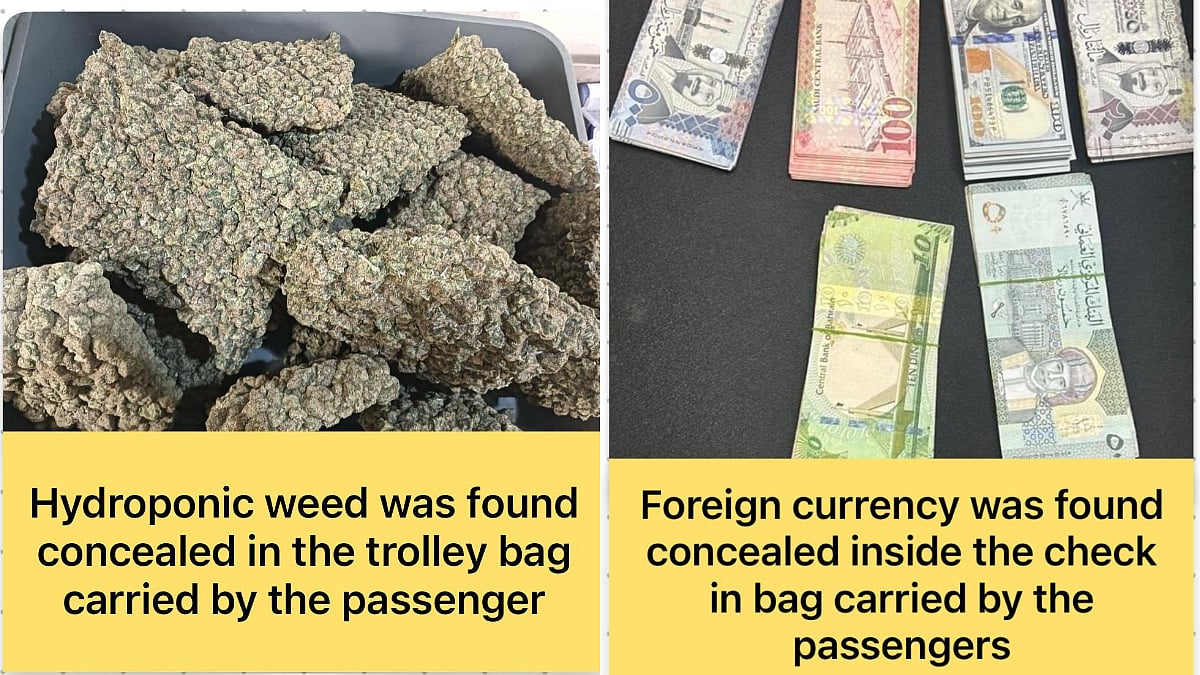 Mumbai Airport Customs Seize Hydroponic Weed Worth ₹49.16 Crore, 68 Exotic Animals And ₹16 Lakh Foreign Currency