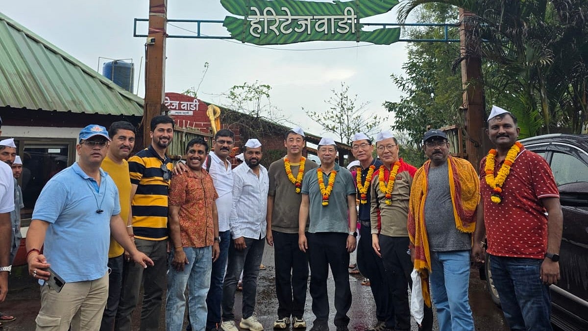 Foreign Tourists Flock To Satara’s Kaas Plateau During Peak Bloom Season (Video)