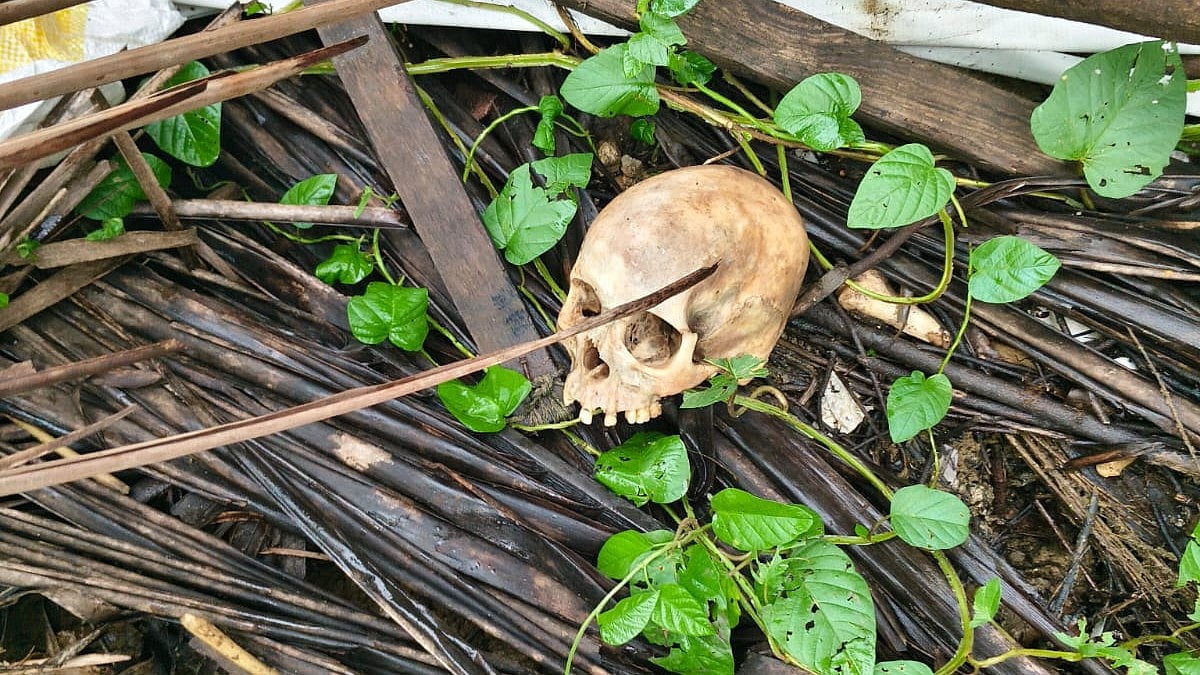 Mumbai News: Human Skeleton Found in Malvani Forest; Police Launch Investigation
