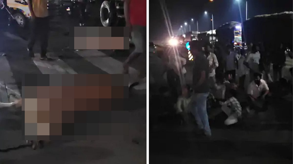 Speeding Container Crushes Five Cows, Kills Biker Near MP's Ujjain; Villagers Block Agra-Mumbai...