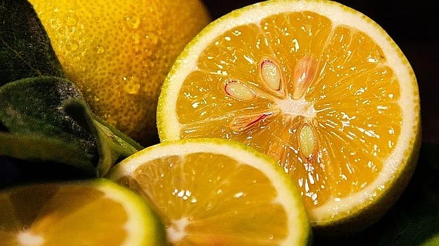 Lo! Lemon Peels To Prepare Bio-Enzyme For Cleaning Water Bodies In Bhopal