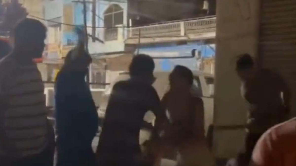 Madhya Pradesh: Animal Lover Brutally Beaten For Opposing People Throwing Stones At Stray Dogs In Chhatarpur; Police Launch Investigation