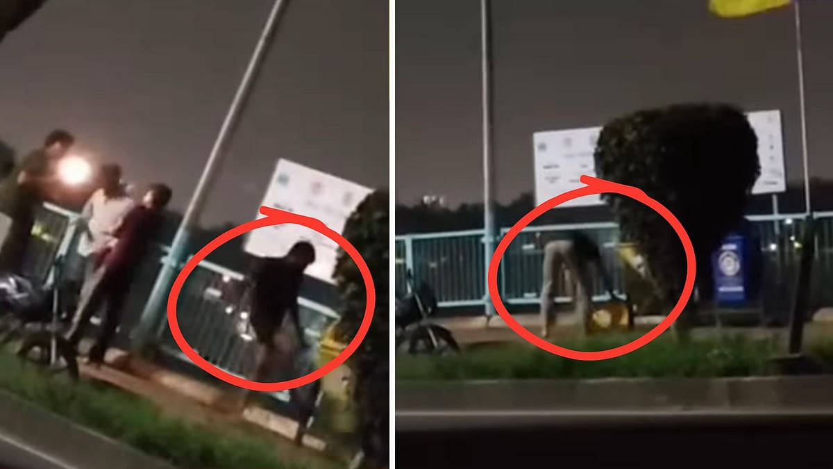 Video Viral: Drunk Youths Create Ruckus On Bhopal’s VIP Road Late Night ...