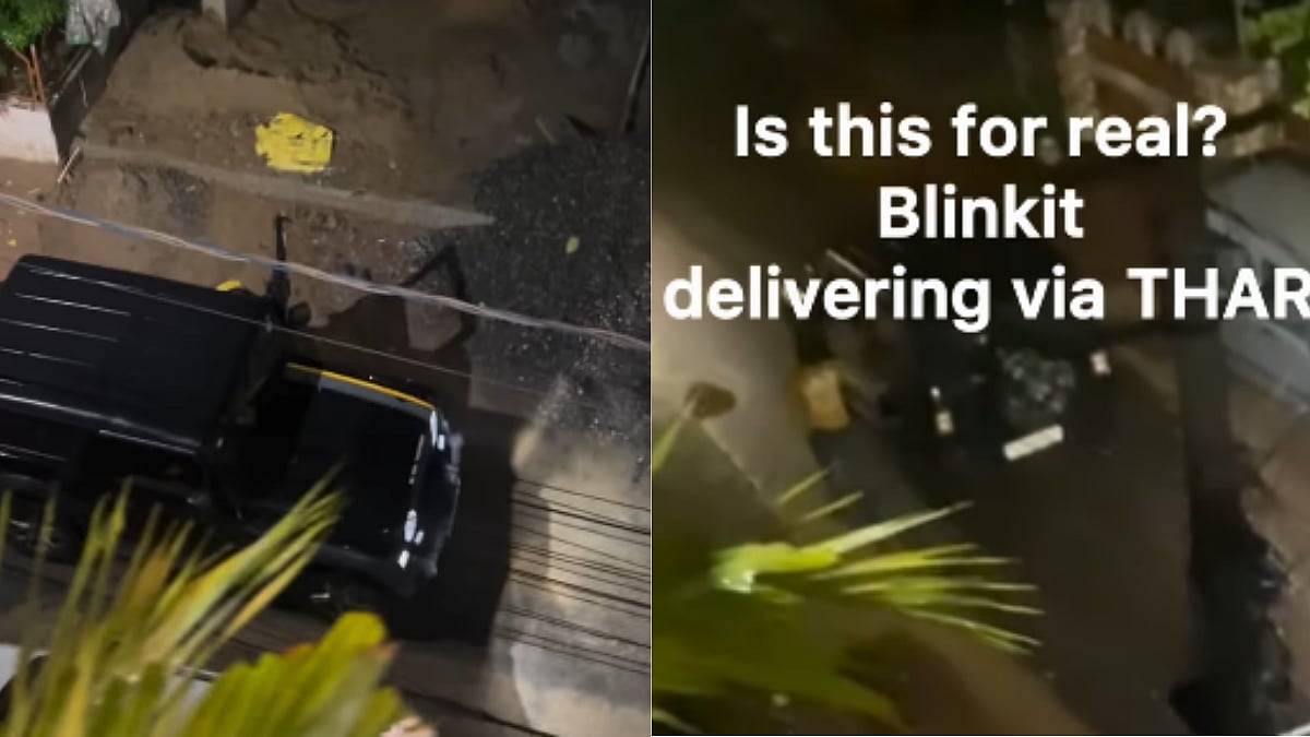'Is This For Real?' Customers React Shockingly As Their Blinkit Order Arrives In Thar For Delivery; VIDEO