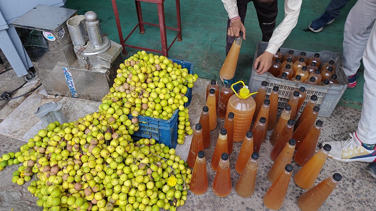 Lo! Lemon Peels To Prepare Bio-Enzyme For Cleaning Water Bodies In Bhopal