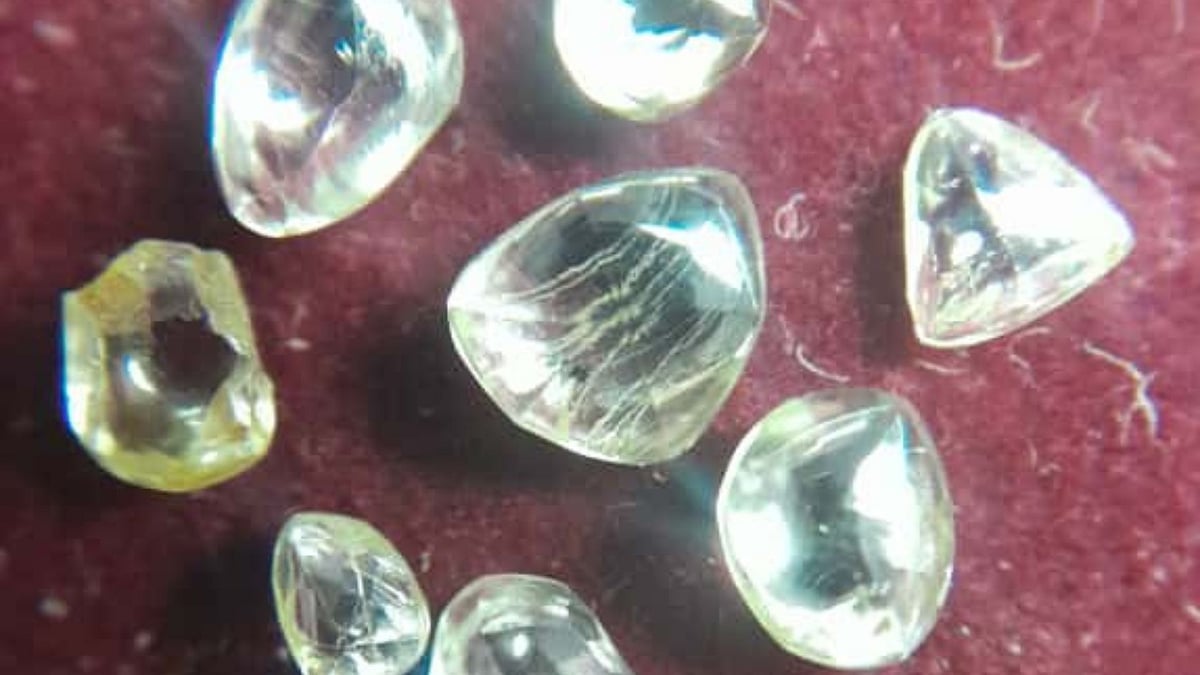 Six of them are of Gem quality and the remaining two are off-coloured diamonds
