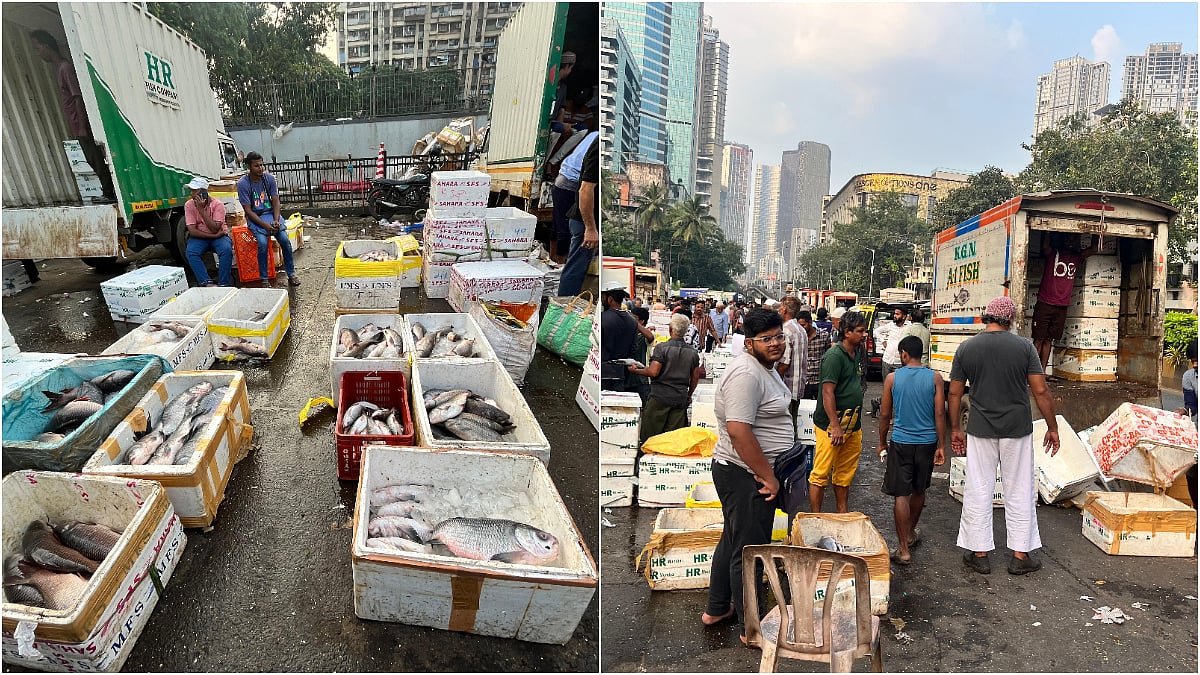Fish vendors trucks at Elphistone Road