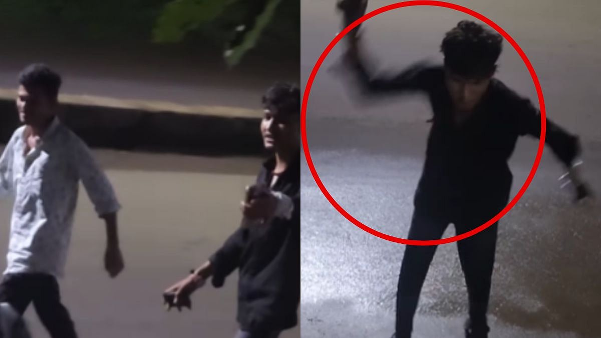 Nashik: Two Men Threw Slipper, Stones At Dogs And Assaulted Feeder At Midnight; Police Begin Investigation | VIDEO
