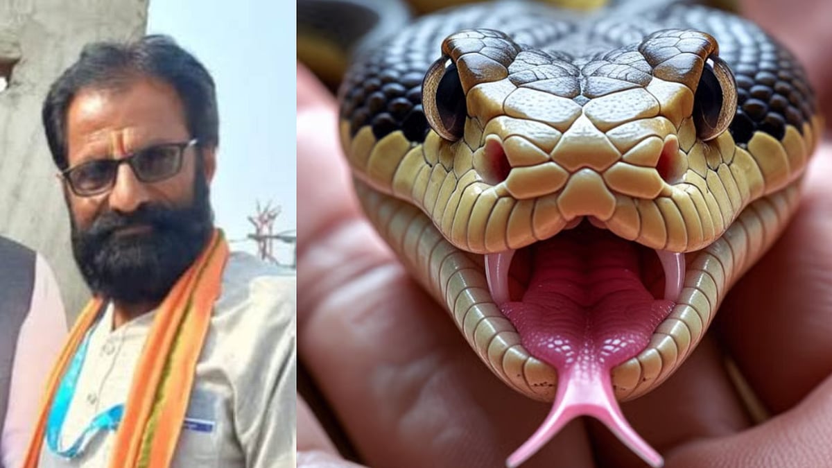 Indore: Ex-Sarpanch Dies Of Snakebite While Plucking Fruits