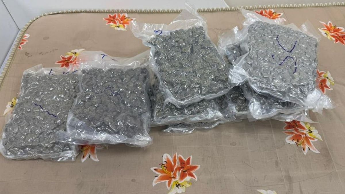 DRI Seizes 12 Kg Hydroponic Weed Worth ₹12 Crore From Dubai-Returned Passenger At Hyderabad Airport, Woman Held; Video