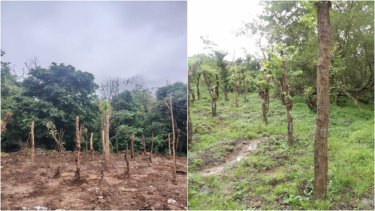 Bhandup Complex water purification plant under construction with ongoing tree replantation and green initiatives