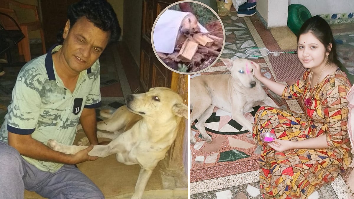 VIDEO: Villagers Perform Funeral Of Their Beloved Dog With All Rituals, Shave Their Heads In MP's Chhatarpur