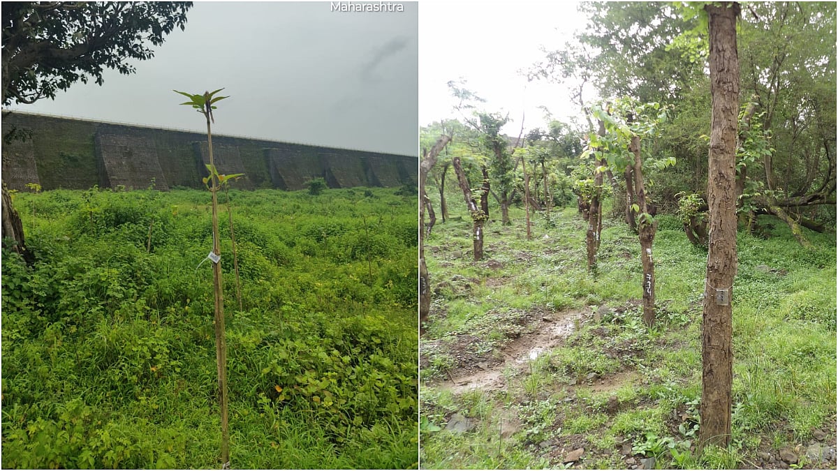 Mumbai Infrastructure Update: Bhandup Water Purification Plant Expansion To Add 2,000 MLD Capacity...