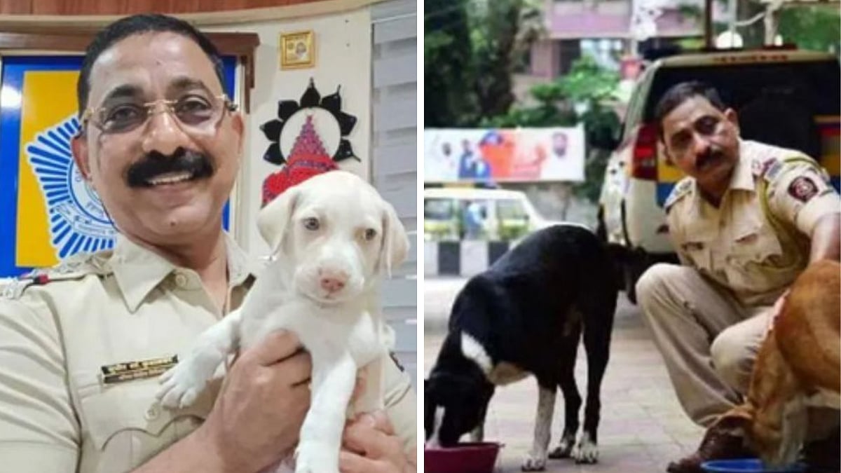 Mumbai Cop Uses WhatsApp To Save Stray Animals, Tackles 3,500 Abuse Cases