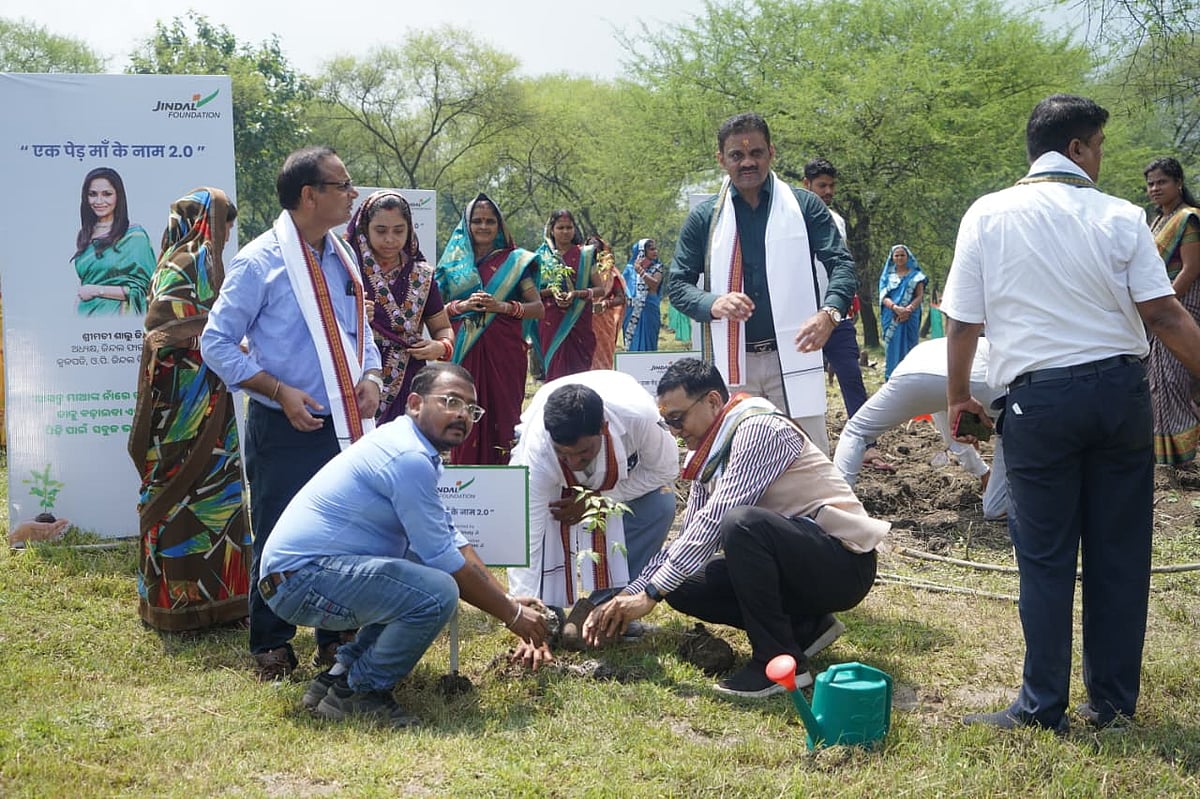 Rajasthan CM Plants Saplings for Modi's Birthday