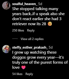 Comments