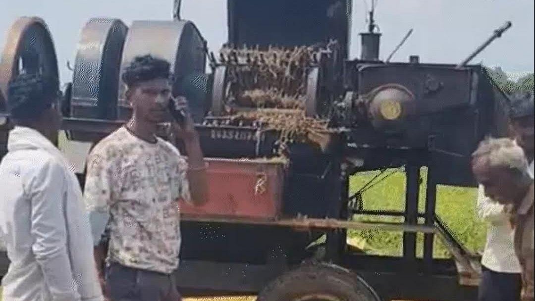 MP News: Labourer's Head Gets Stuck In Thresher While Harvesting Soybeans In Khargone, Dies