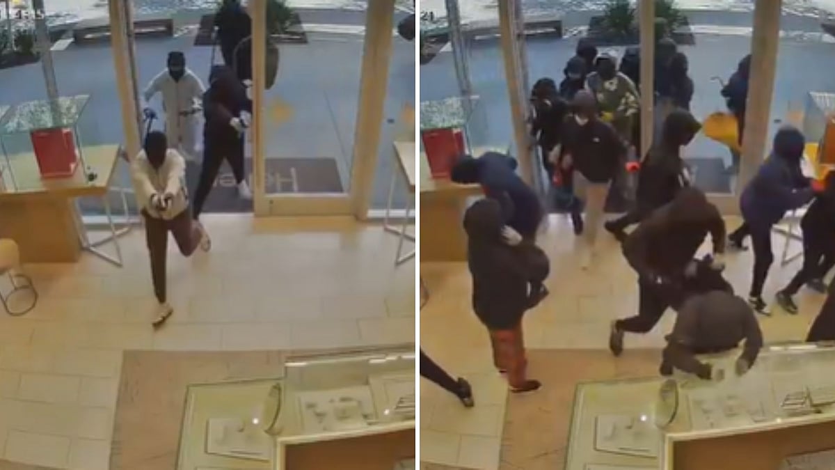 San Ramon Smash-And-Grab: 20 Men Armed With Guns, Hammers Ransack Jewellers, Store To Reopen After Police Action | VIDEO
