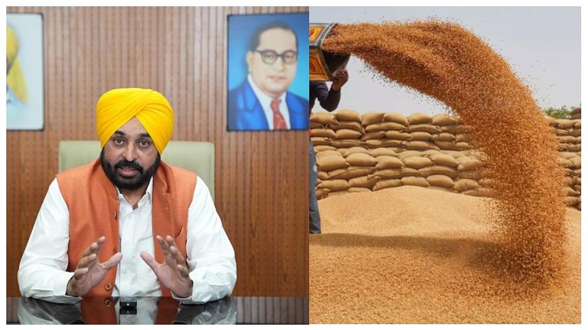Punjab Government Will Provide Two Lakh Quintals Of Wheat Seeds Worth ₹74 Crore Free Of Cost To...