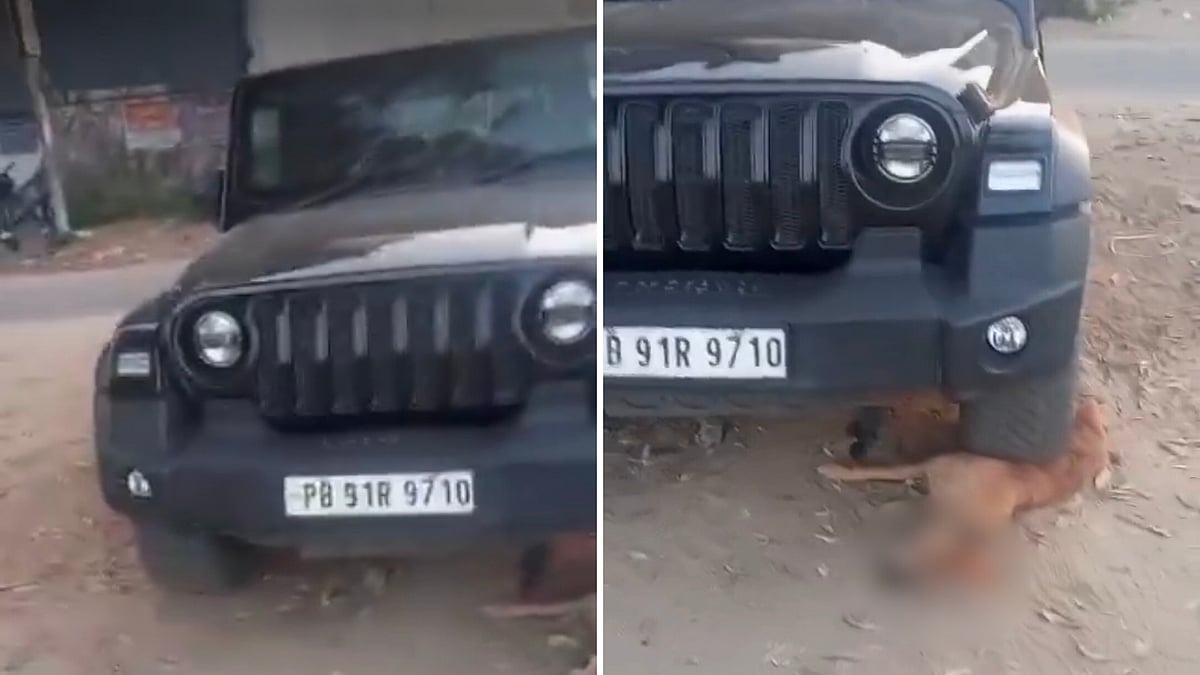 Ludhiana Man Runs Over Dog With Thar, Leaves Animal Crushed Under Vehicle While He Goes to Gym; Disturbing Video Surfaces